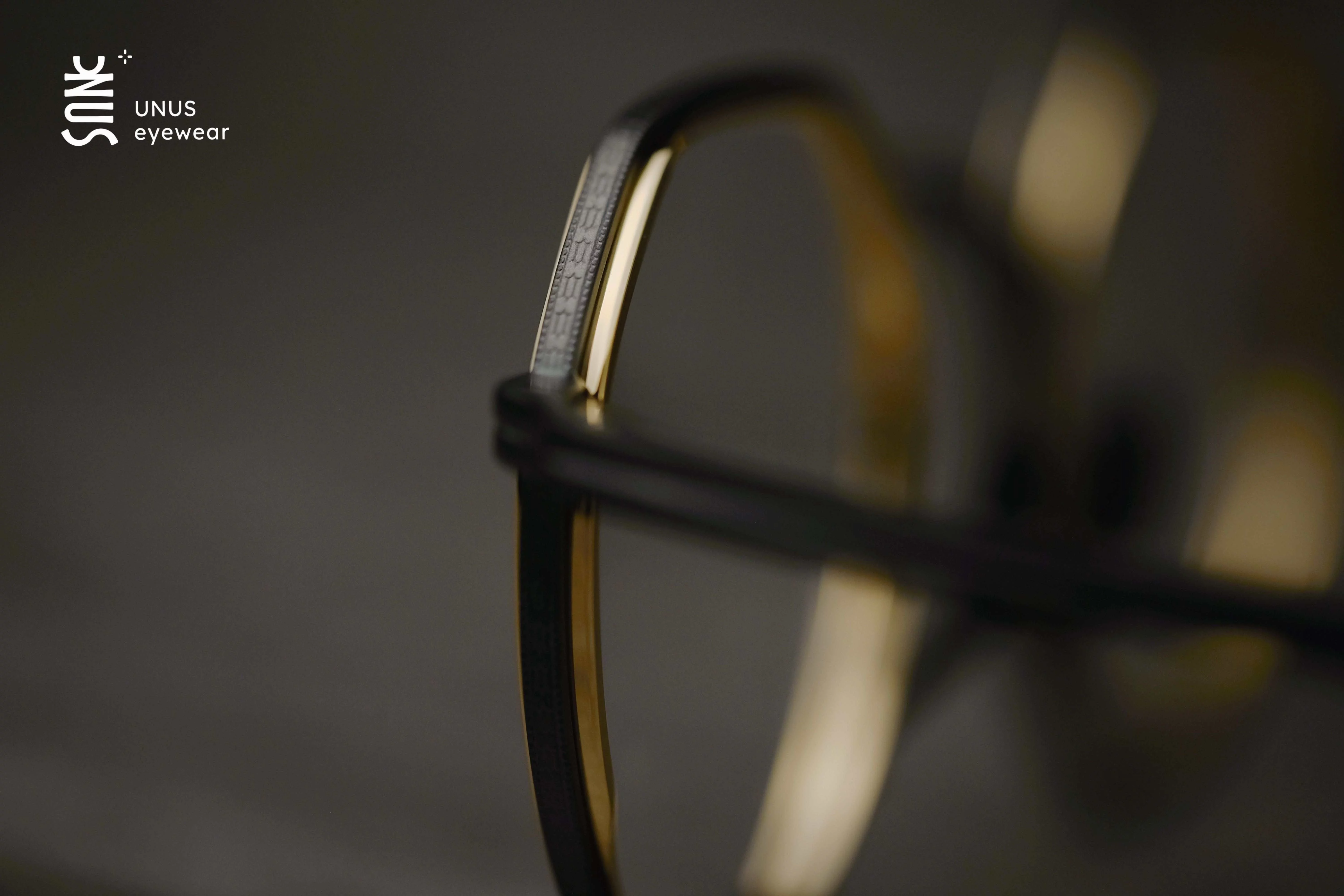 萬年龜 Kame ManNen 1231 - 圖片 2